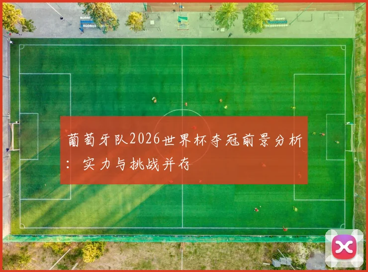 葡萄牙队2026世界杯夺冠前景分析：实力与挑战并存